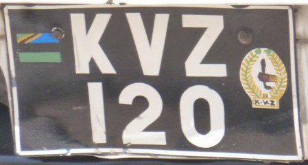 Volunteer emergency force under the military control.