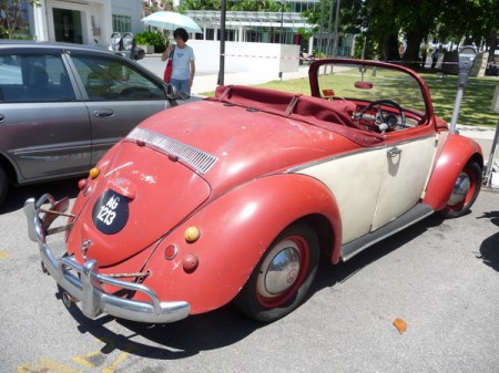 (MAL) 100314 Penang Beetle_resize