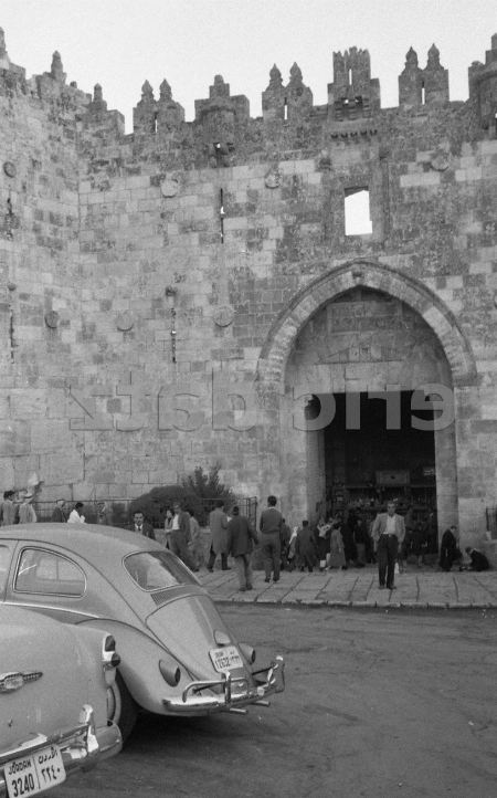 HKJ 1959 Volkswagen photo 1959 Doris Nieh