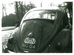 (NGN 50-59).Hollandia_NG 04_(NGN oval)_Beetle.plKS